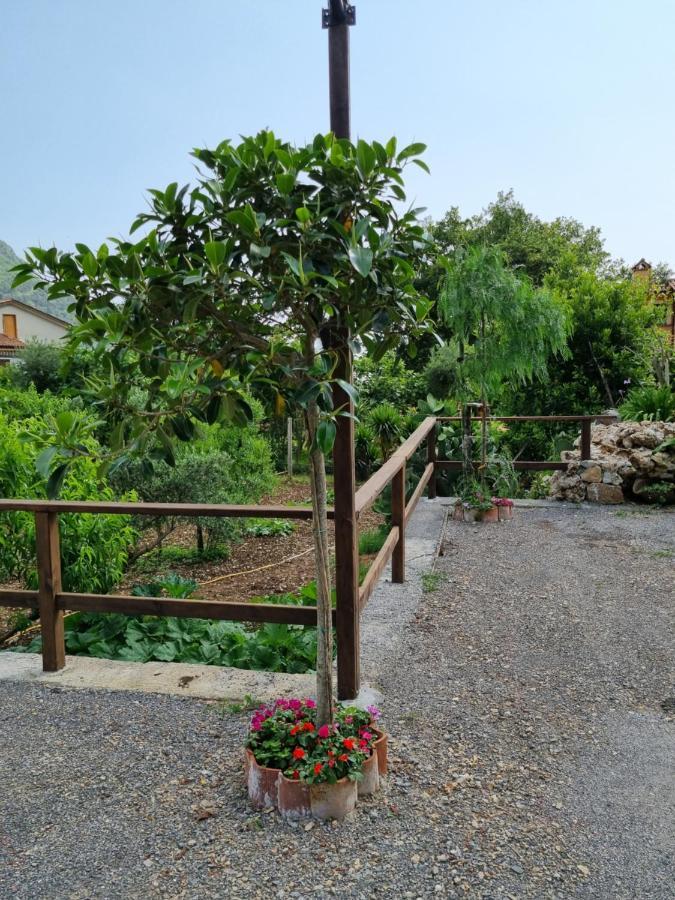 Il Ruscello Bed & Breakfast Maratea Exterior photo