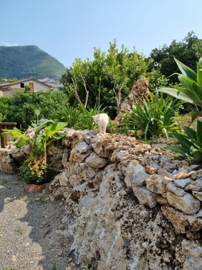 Il Ruscello Bed & Breakfast Maratea Exterior photo