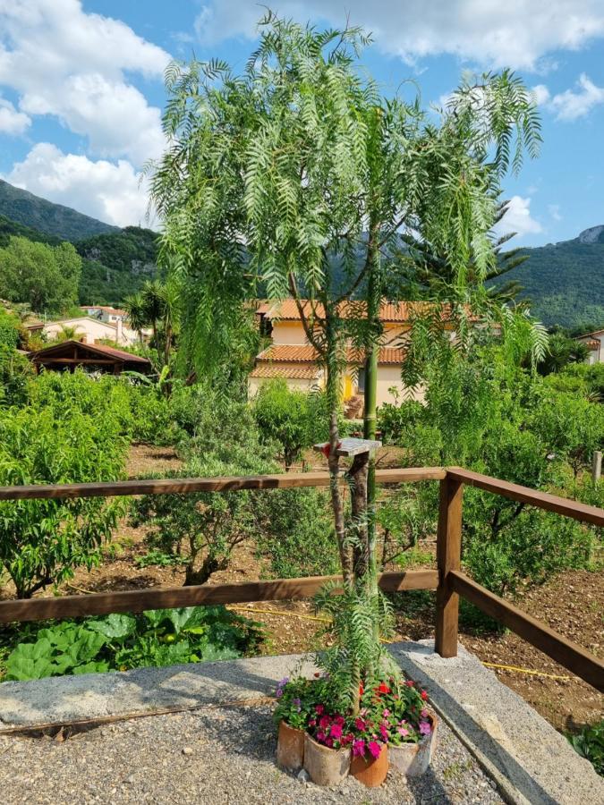 Il Ruscello Bed & Breakfast Maratea Exterior photo
